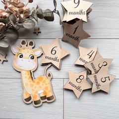 Милі кольорові дерев'яні таблички для фото дитини по місяцях в формі жирафа