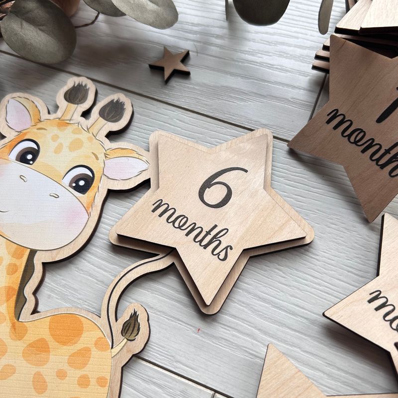Милые цветные деревянные таблички для фото ребенка по месяцах в форме жирафа