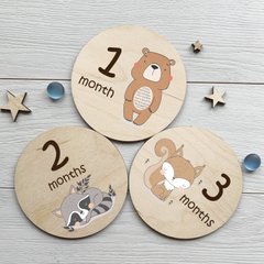 Набір дерев'яних карток для дитячої фотосесії по місяцях 12 штук