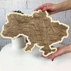 Дерев'яна настінна карта України з магнітами