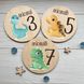 Набір кольорових дерев'яних табличок для фото з немовлятами по місяцях в стилі динозаврів, від 1 місяця до року