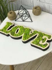 Дерев'яний інтер'єрний декор з елементами моху «Love»