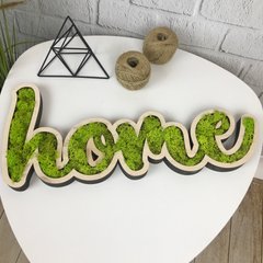 Дерев'яний інтер'єрний напис c декоративним мохом «Home»