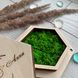 Дизайнерська коробочка для обручок із зеленим мохом та іменами закоханих на замовлення