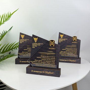 Оригінальна подяка військовим з дерева та акрилу, іменна нагорода волонтерам з написом, кубок з логотипом